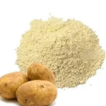  Fresh  Potato Powder